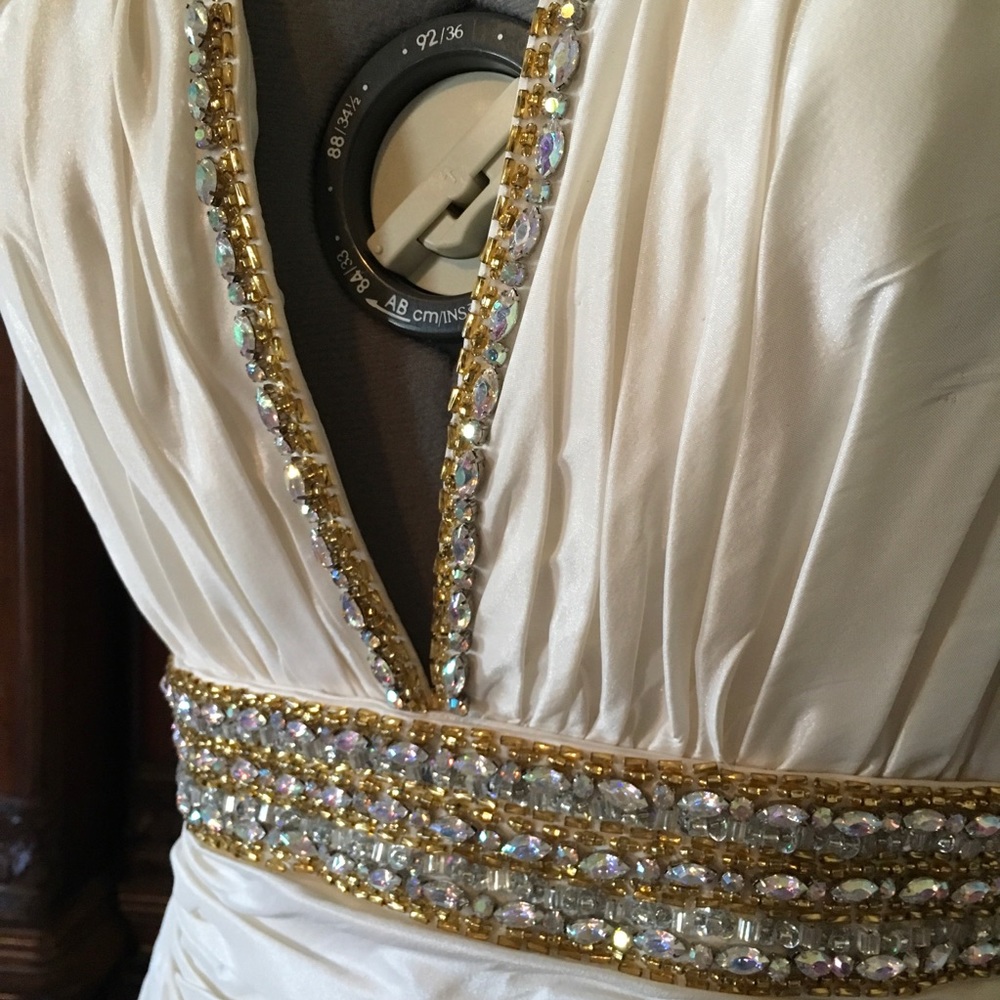 Tiffany Designs Gown - Picture 7 of 8